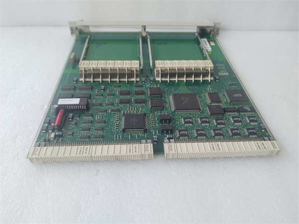 SC510.罗周汉.20240517.154147 (12)